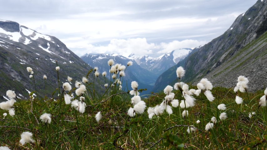mountain-landscape-at-stryn-norway-image-free-stock-photo-public