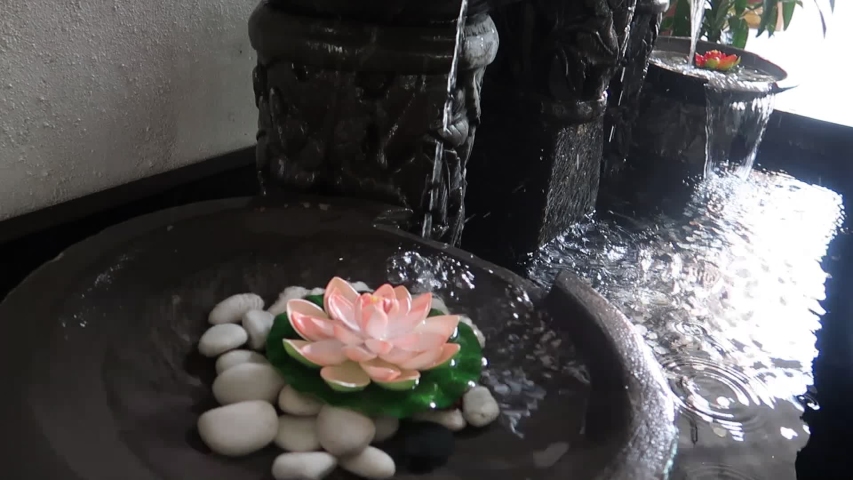 Little Indoor Waterfall With Lotus Stock Footage Video 100