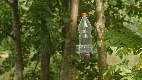 Homemade Bird Feeders Stock Video Footage 4k And Hd Video Clips