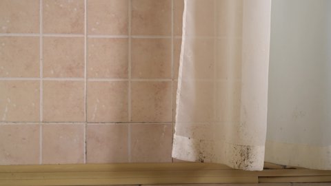 Indoor Mold Toxic Black Mold Grow In Damp Places On Walls Floors Curtains Tile Mildew In Damp Places Such As Bathroom Kitchen Laundry Room Fungal Growth