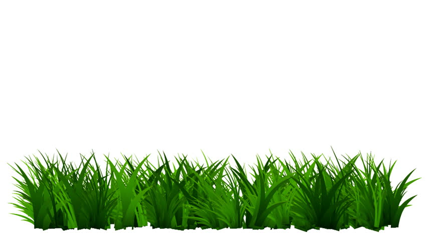 Animated Grass Stock Footage Video 40085 | Shutterstock