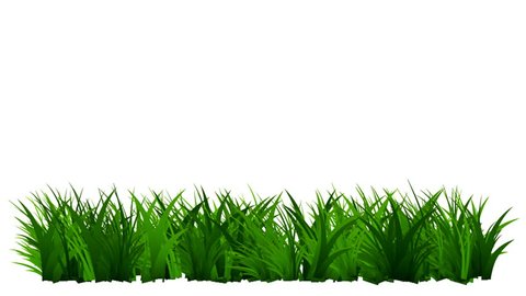 Grass Growing Grass Fast Stock Footage Video (100% Royalty-free) 10598999 |  Shutterstock