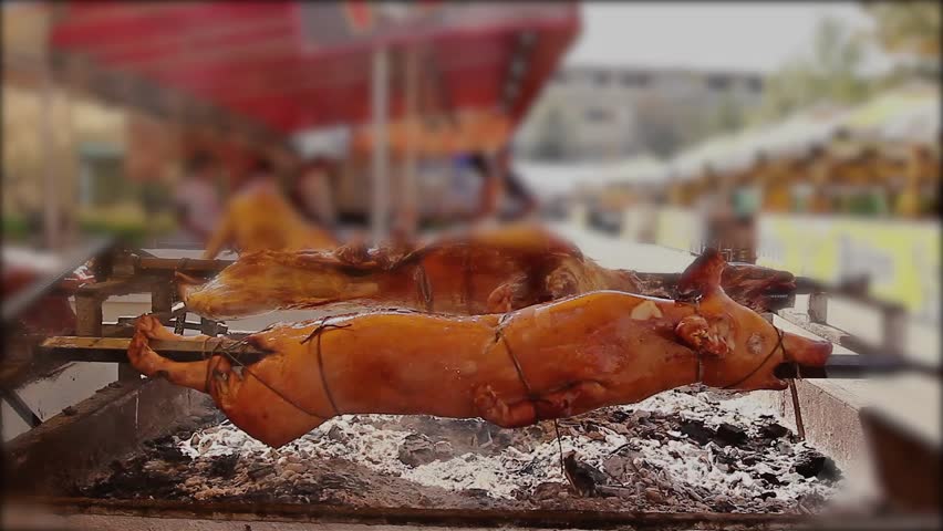 Pig Is Roasting On A Stock Footage Video 100 Royalty Free