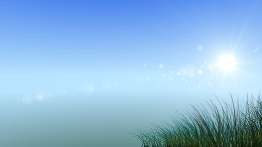 growing flowers frame 3d animation stock footage video clear background image