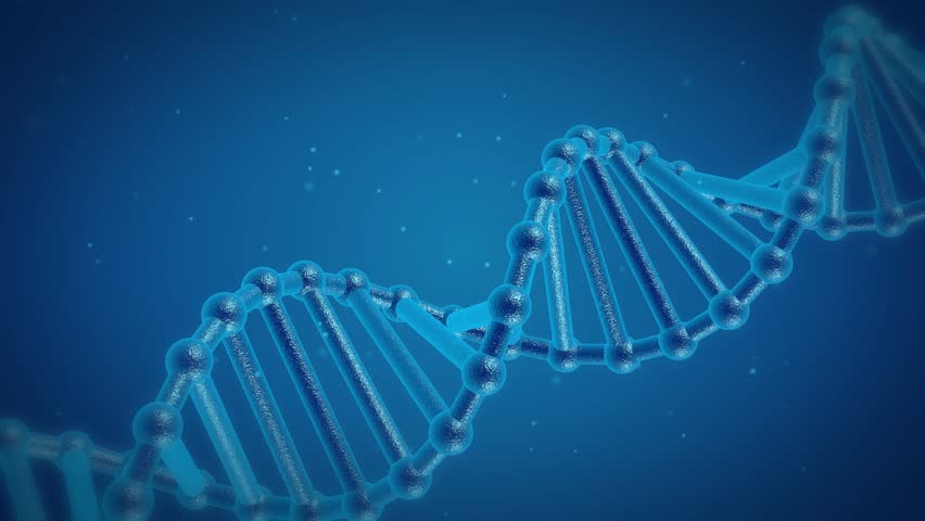 Dna Chain Rotates On a Stock Footage Video (100% Royalty-free) 10957559