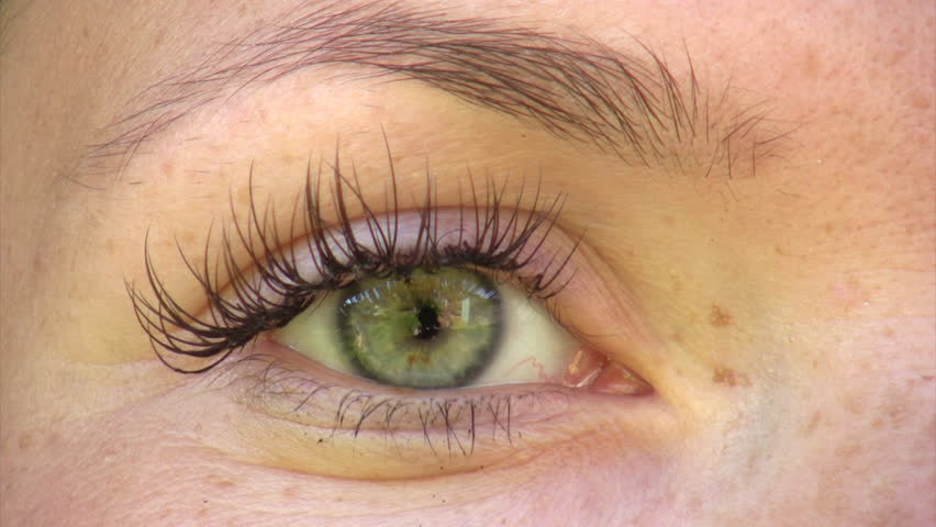 Close Up Of Young Woman S Green Eye