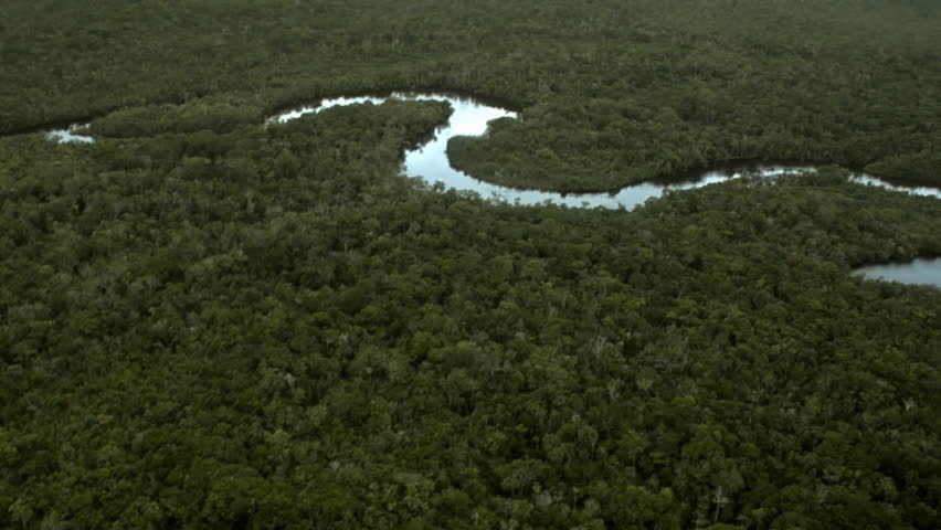 Aerial View Of The Amazon Stock Footage Video 100 Royalty Free