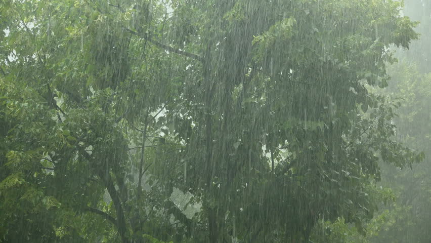 Rain Showers Weather Rain Showers Weather