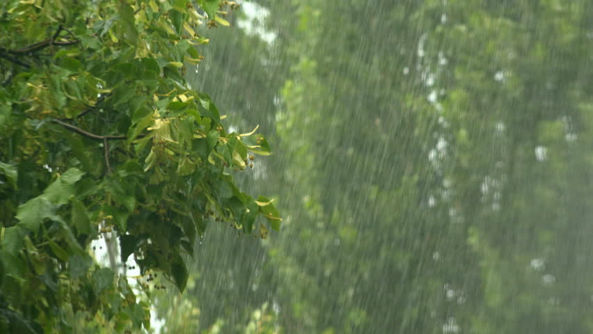 Summer Rain Showers, Heavy Rainstorm Stock Footage Video (100% Royalty ...