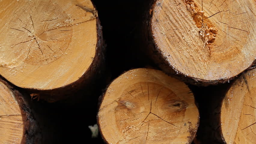 Header of timber