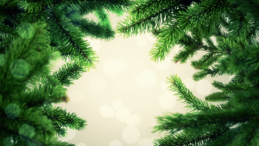 Hd00 20animation Slow Waving Of Fir Tree Branches Abstract Animation Slow Waving Of Fir Tree Branches Abstract Background For Christmas Holidays Or New Year Seamless Loop