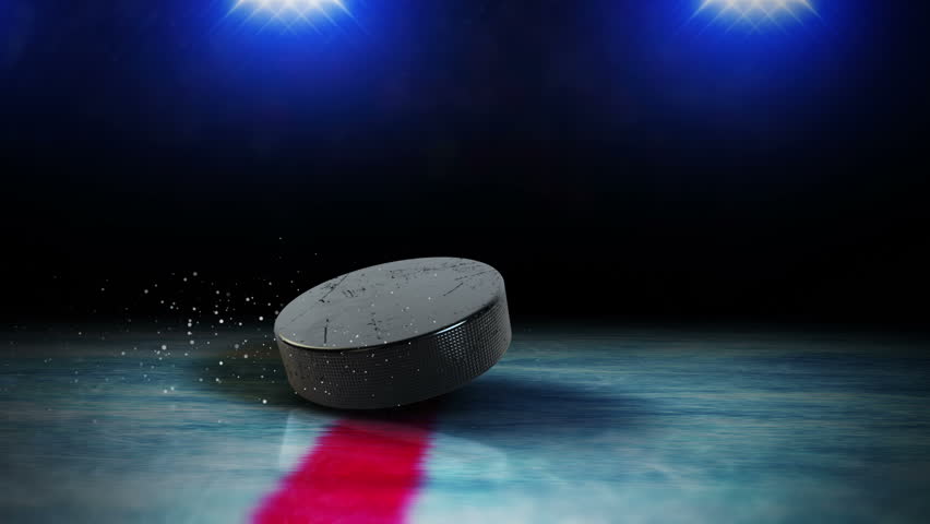 Ice Hockey Puck