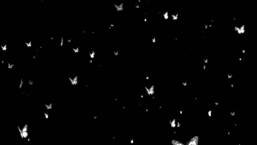 butterfly overlay tumblr