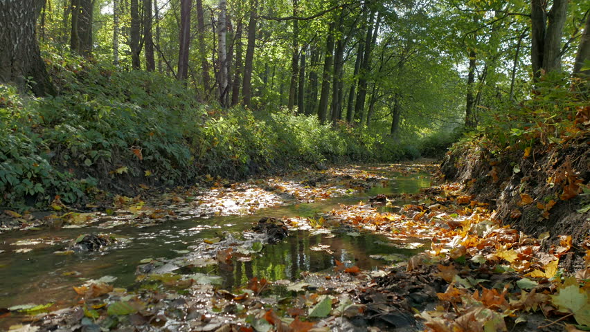 Audio Crackling Fire