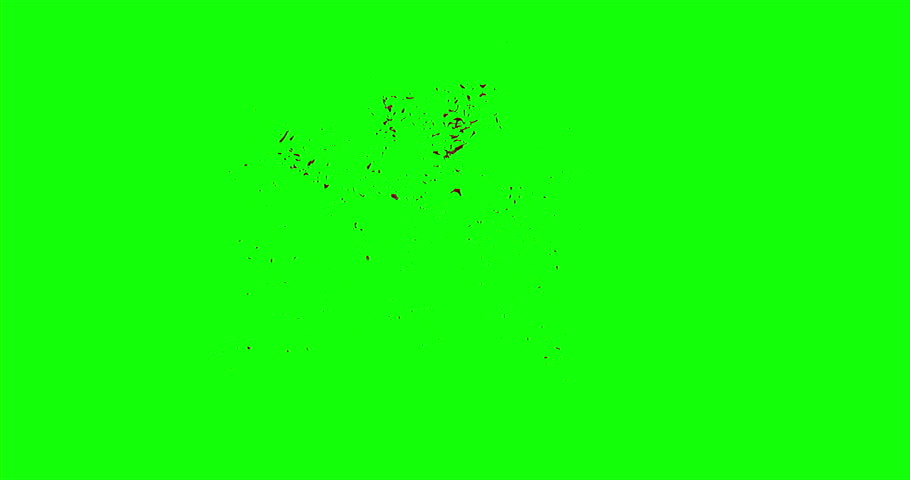 Swarm Of Mosquitoes / Flies / Bees / Insects On A Green Screen ...