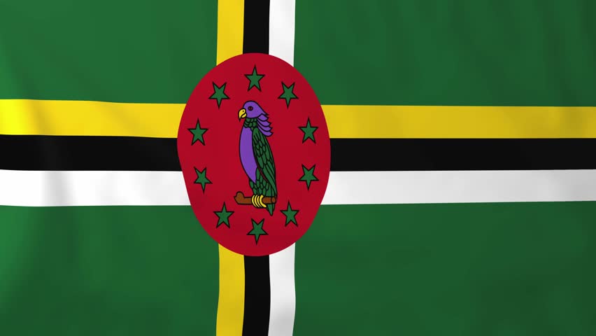 Dominica Looping Flag Waving In The Wind Stock Footage Video 839557 ...