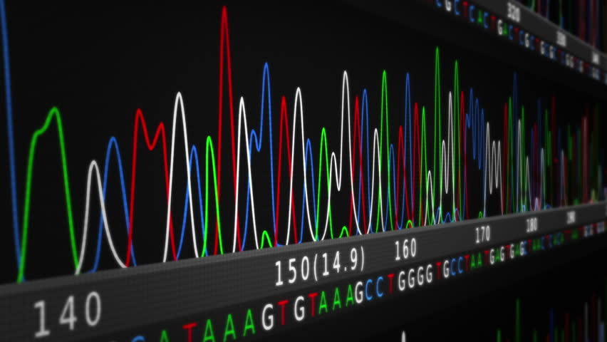 Genentech stock options