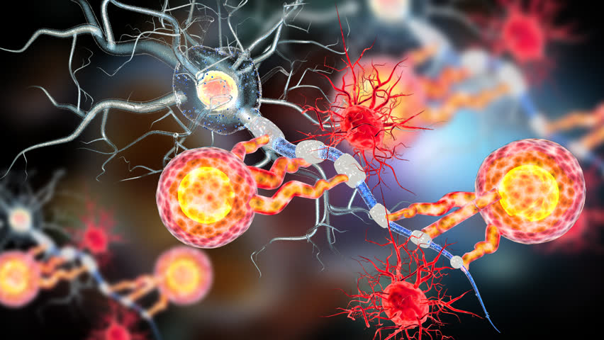 Oligodendrocytes Stock Video Footage - 4K and HD Video Clips | Shutterstock