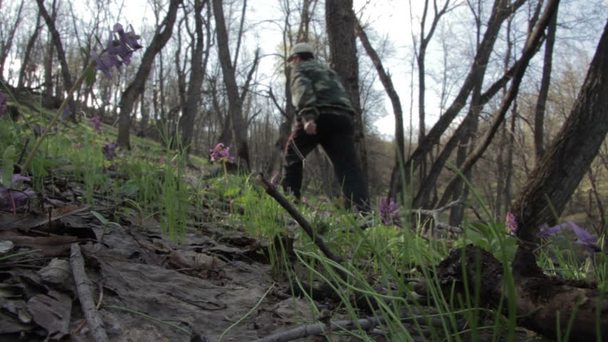 Header of forester