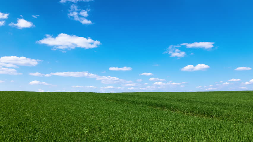 Beautiful Green Grass Clear Blue Sky Summer Landscape High Beautiful Green Grass Clear Blue Sky Summer Landscape High