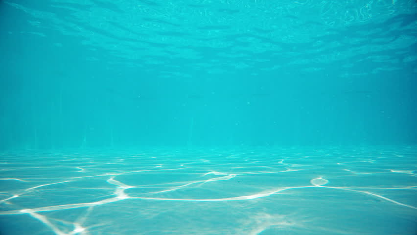 bottom of the pool Have sex with trees