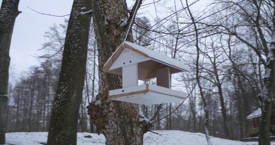 White Woodeen Bird Feeder Hangs Stock Footage Video 100