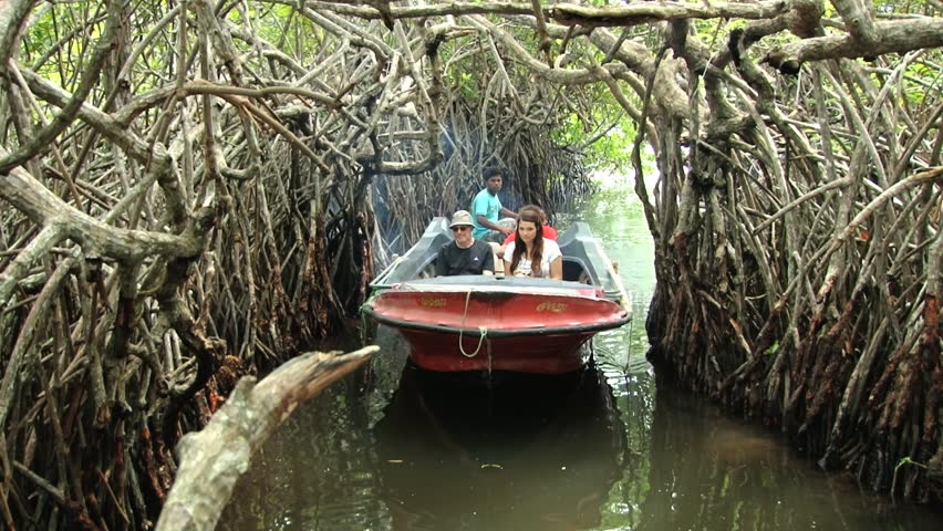 Imageresult for Boat Trip in Madu River