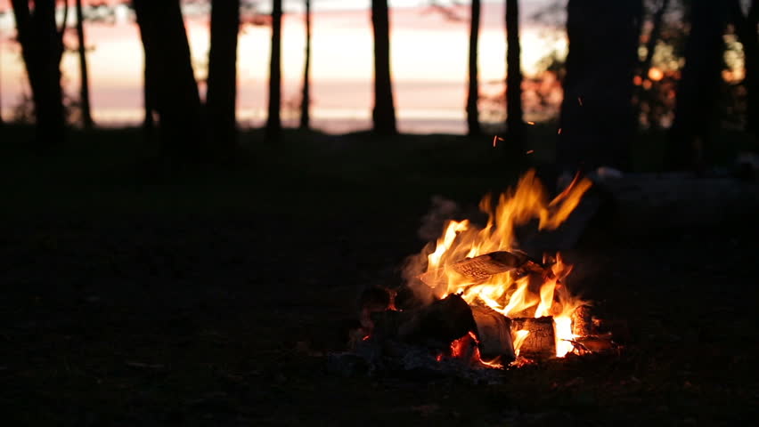 Header of bonfire