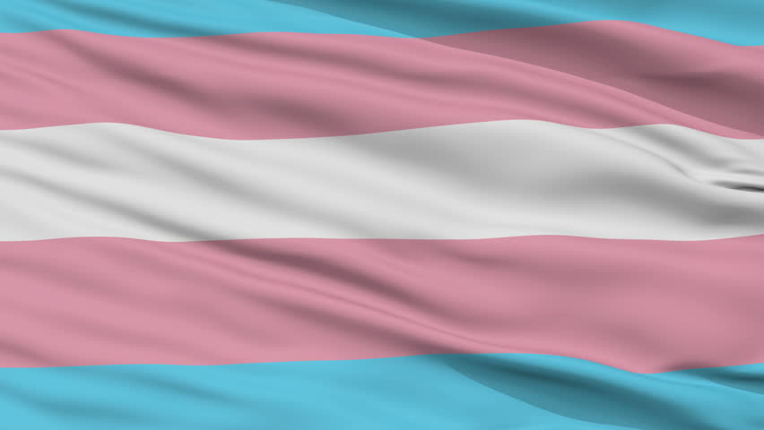 Stock Video Clip Of Transgender Pride Flag Close Up