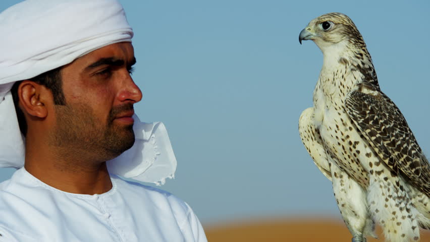 Middle Eastern Falconer In Desert Stock Footage Video 100 Royalty Free 18615599 Shutterstock