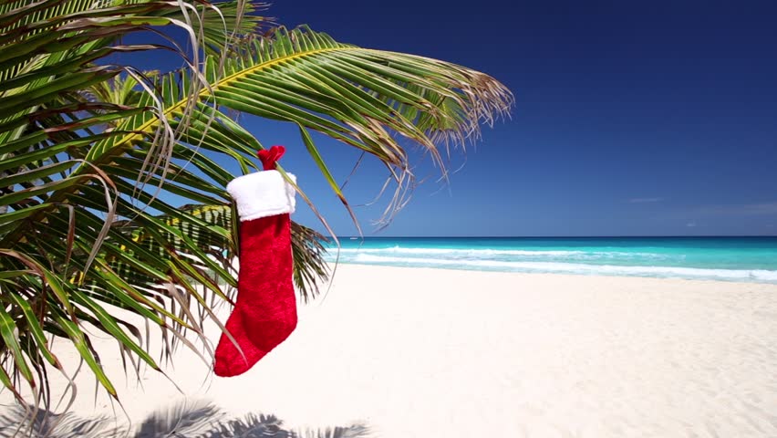 Christmas Stocking Hanging On Coconut Stock Footage Video 100