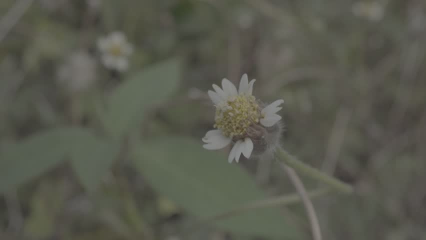 Header of slog