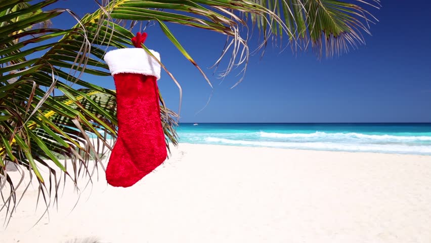 Christmas Stocking Hanging On Coconut Palm Tree Leaf At Tropical Sandy ...