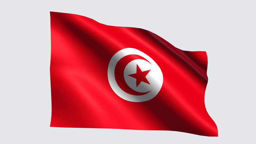 Tunisia Flag with Transparent  Background Stock Footage 