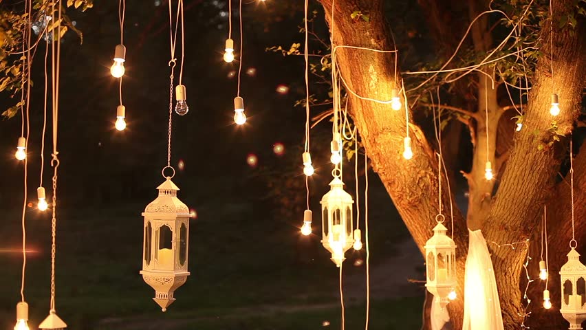 Light Bulbs Outdoor On A Stock Footage 100 Royalty Free Light Bulbs Outdoor On A Stock Footage 100 Royalty Free 19479616 Shutterstock