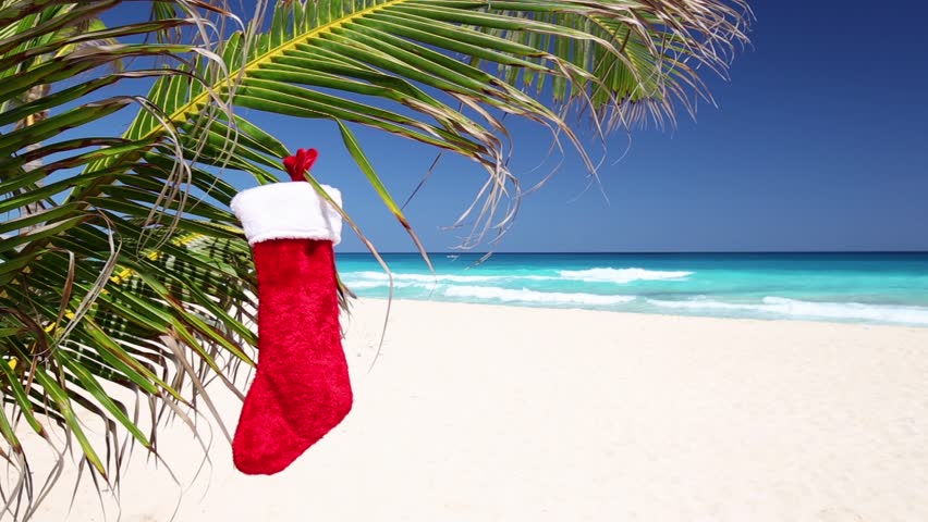 Christmas Stocking Hanging On Coconut Palm Tree Leaf At Tropical Sandy ...