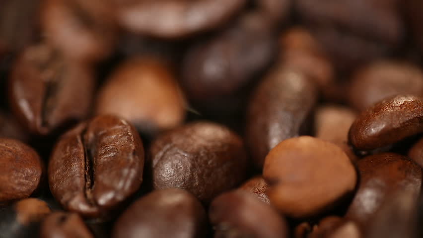 Header of bittersweet