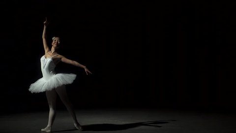 The Beautiful Ballerina Footage Video (100% Royalty-free) 20146429 | Shutterstock