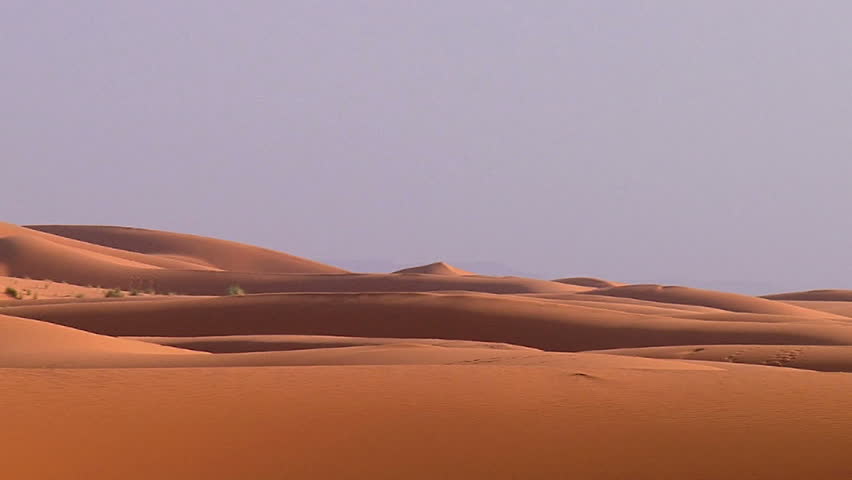 Header of desert