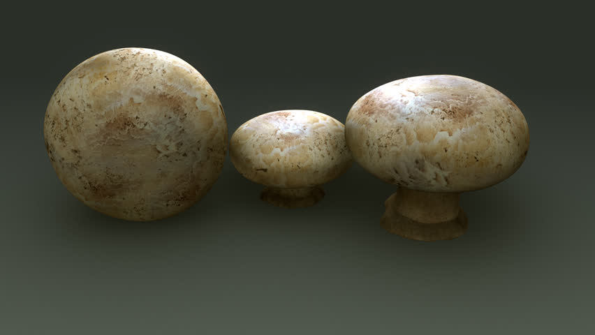 Header of Agaricus