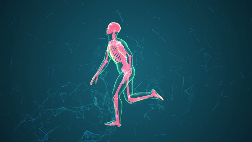 Xray engine crash. Ошибка сталкер. Stalker зеленый жук. Error in running xray core. Error in running xray core.