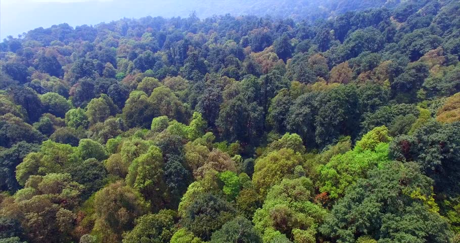 Flying Above Green Forests Of Shivapuri Nagarjun National Park. It ...