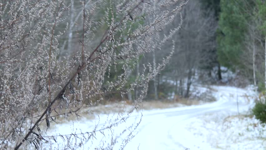 Header of Somewhere