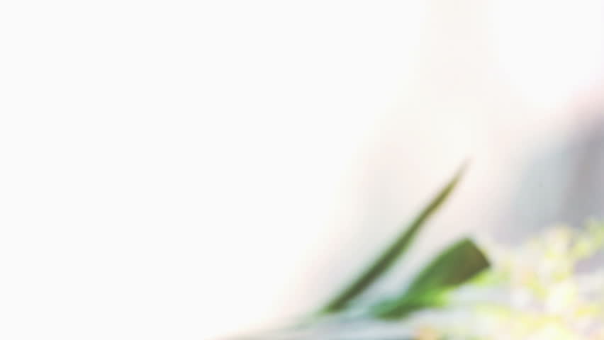 Header of almond oil