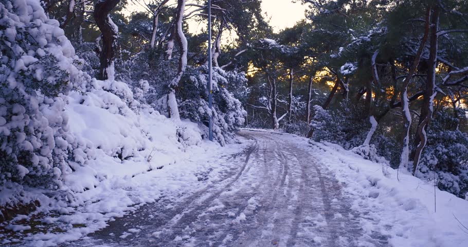 beautiful muree