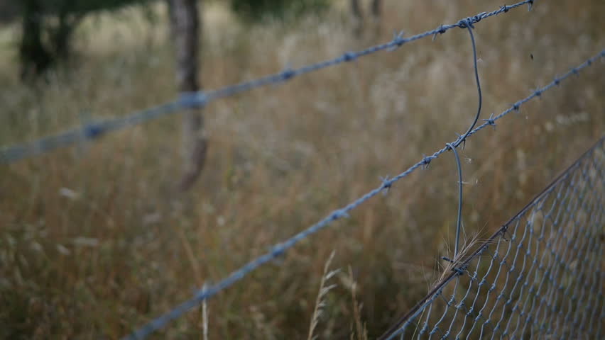 pulling barbed wire fence