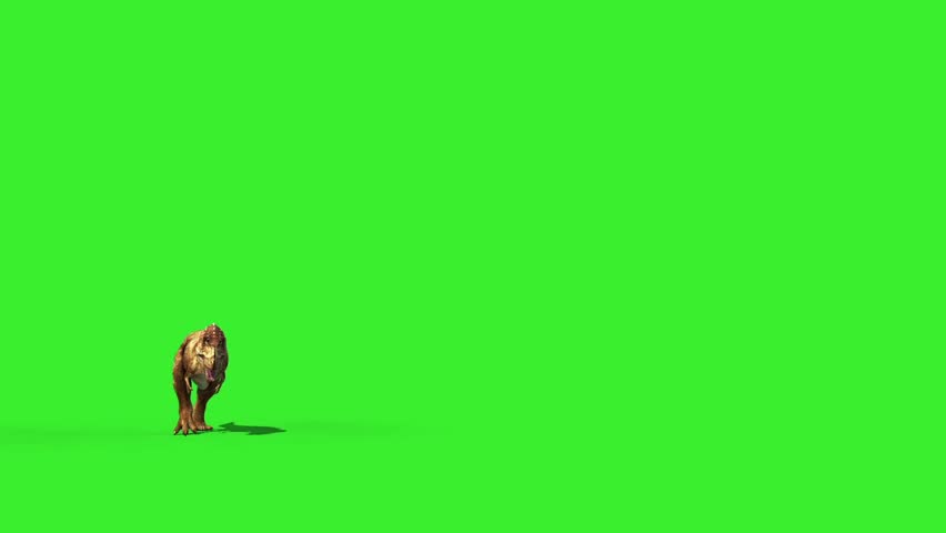 Header of feathered