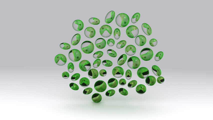 Header of chlorella