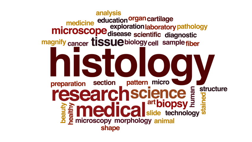 Header of histology