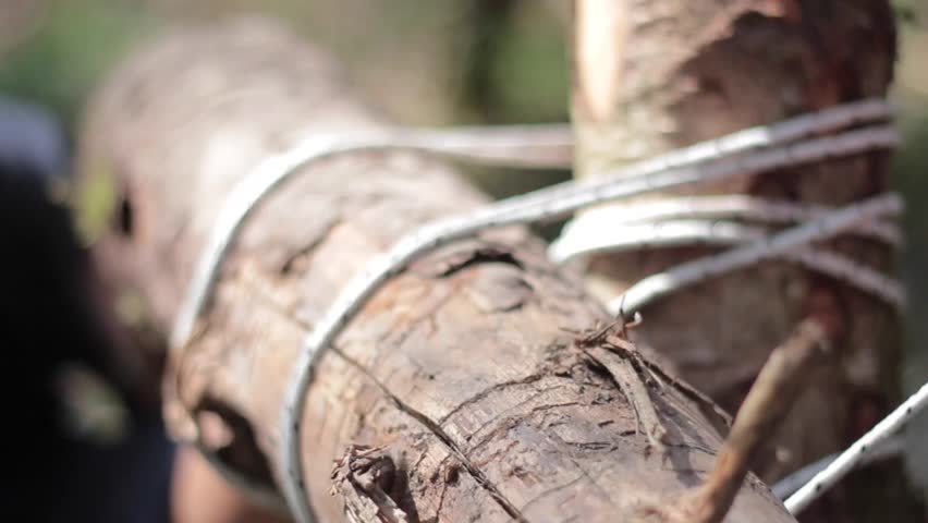Header of ligature